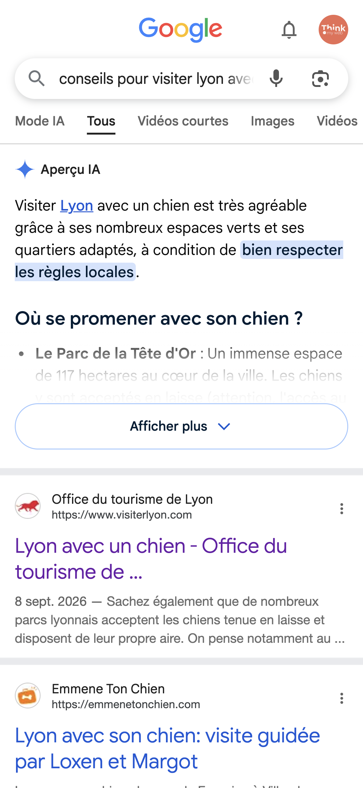Page de résultats Google mobile, cas affiché